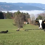 Σπίτι διακοπών Plein Sud Metzeral