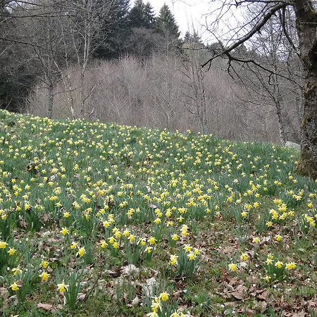 Ferienhaus Plein Sud *