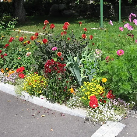 Ferienhaus Plein Sud